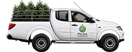 Trees for delivery