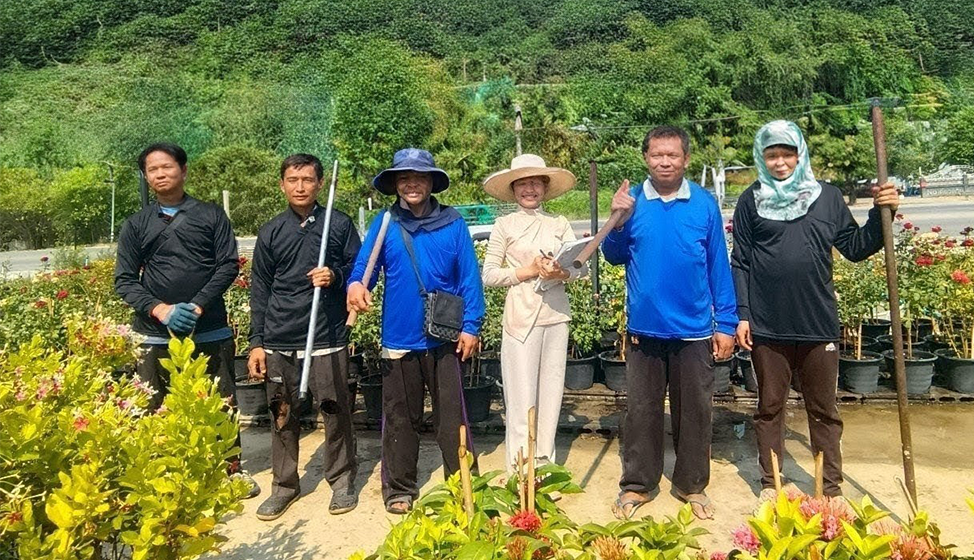 Picha Gardens