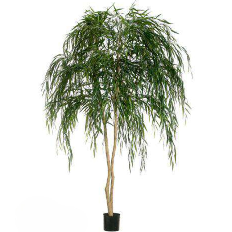 Weeping Willow