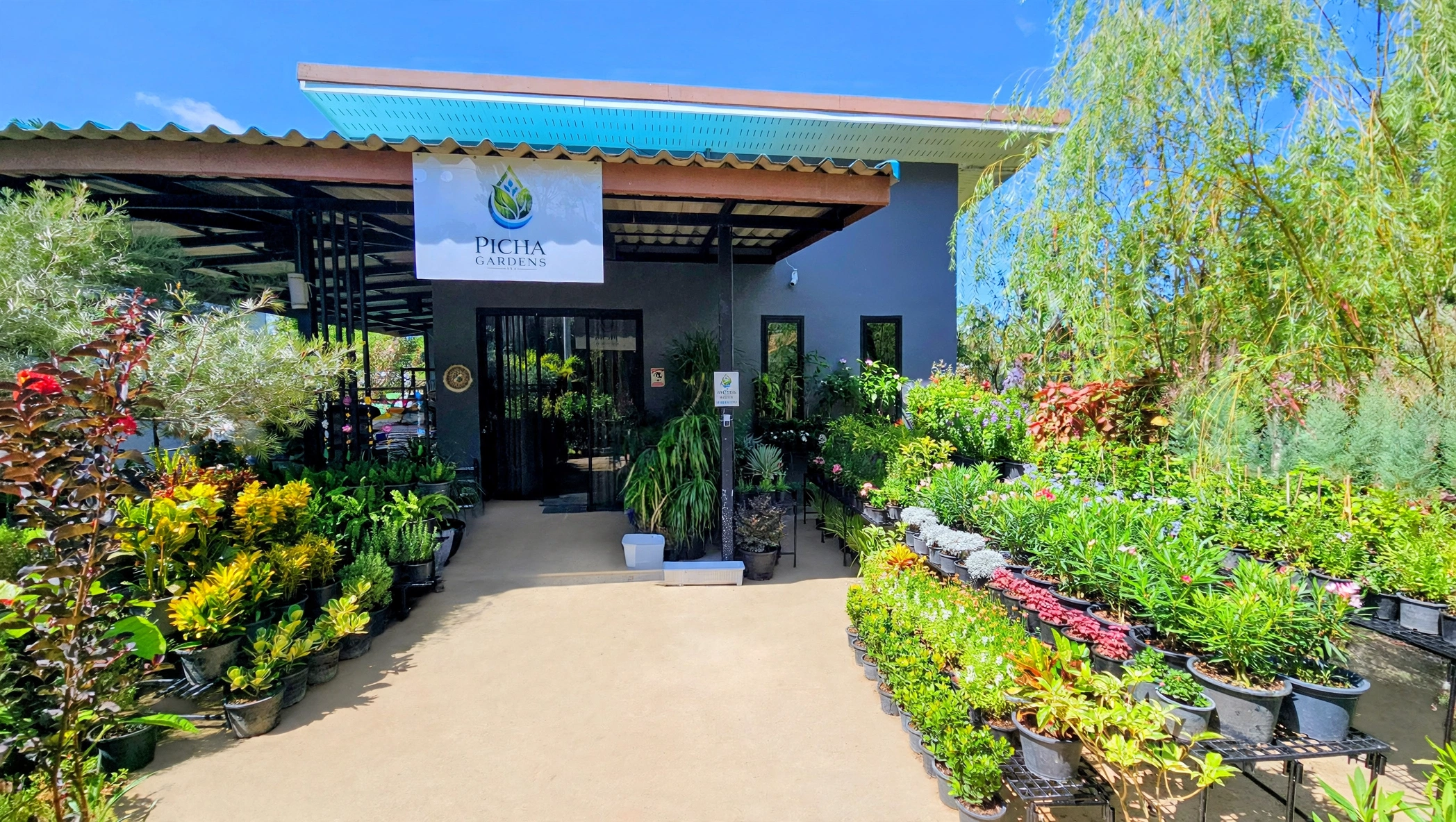 Picha Gardens Nursery storefront in Hin Kong