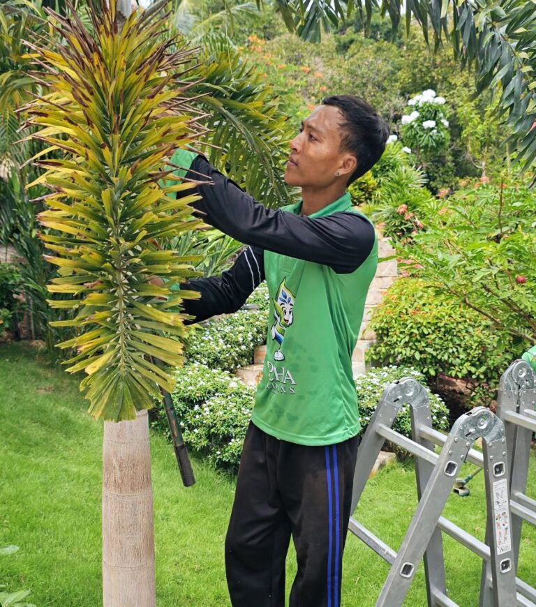 Garden maintenance service in progress on Koh Phangan