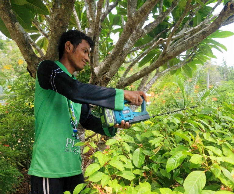 Picha Gardens gardener trimming a hedge