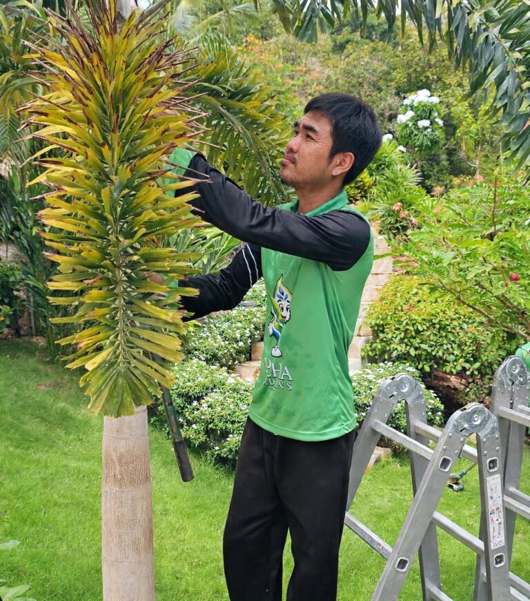 Garden maintenance service in progress on Koh Phangan